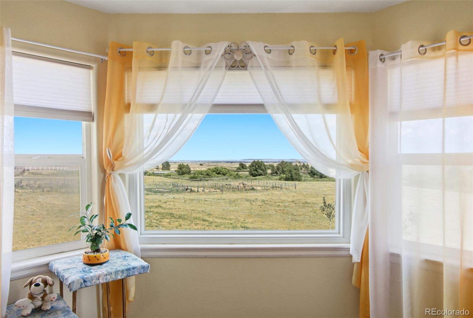 MLS Image #17 for 13305  bent spur trail,elbert, Colorado