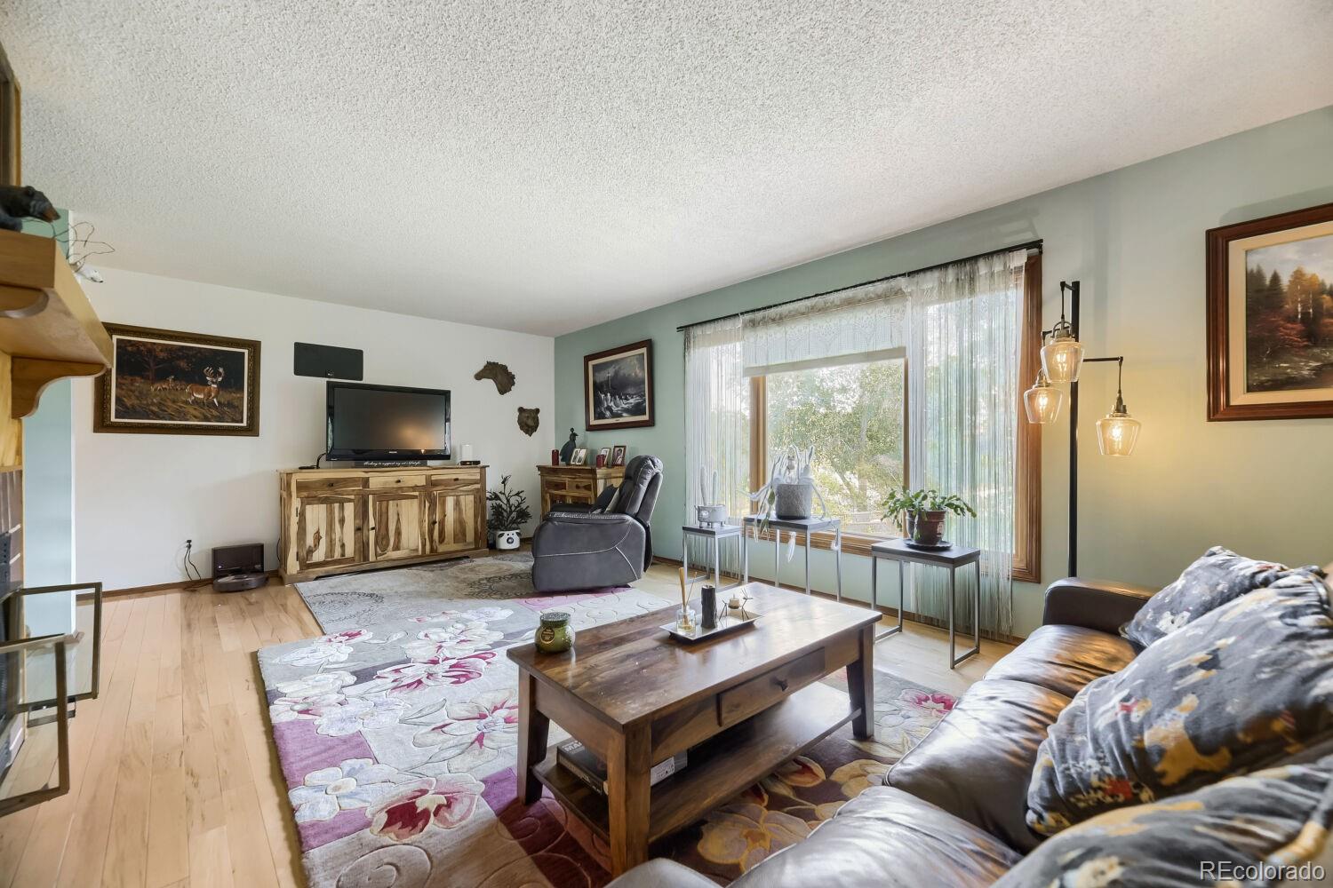 MLS Image #9 for 7950  hillview street,parker, Colorado