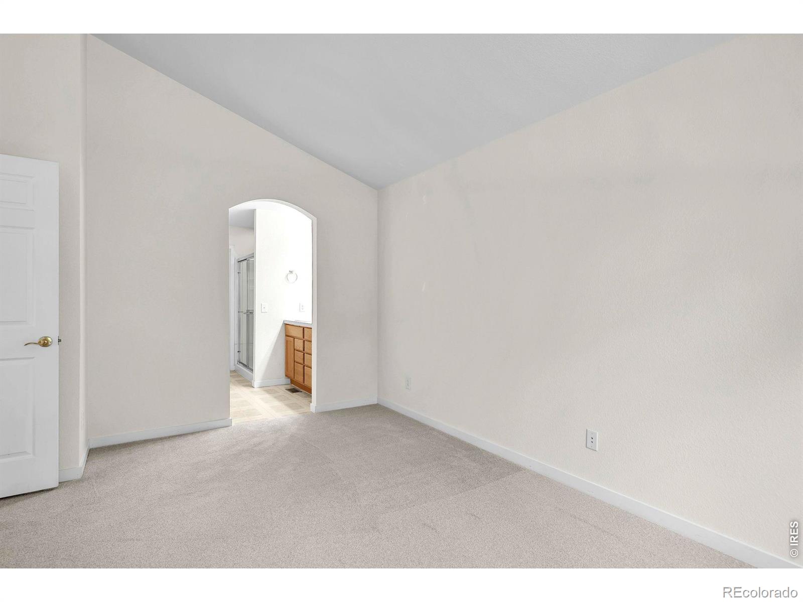 MLS Image #21 for 811  snowberry street,longmont, Colorado