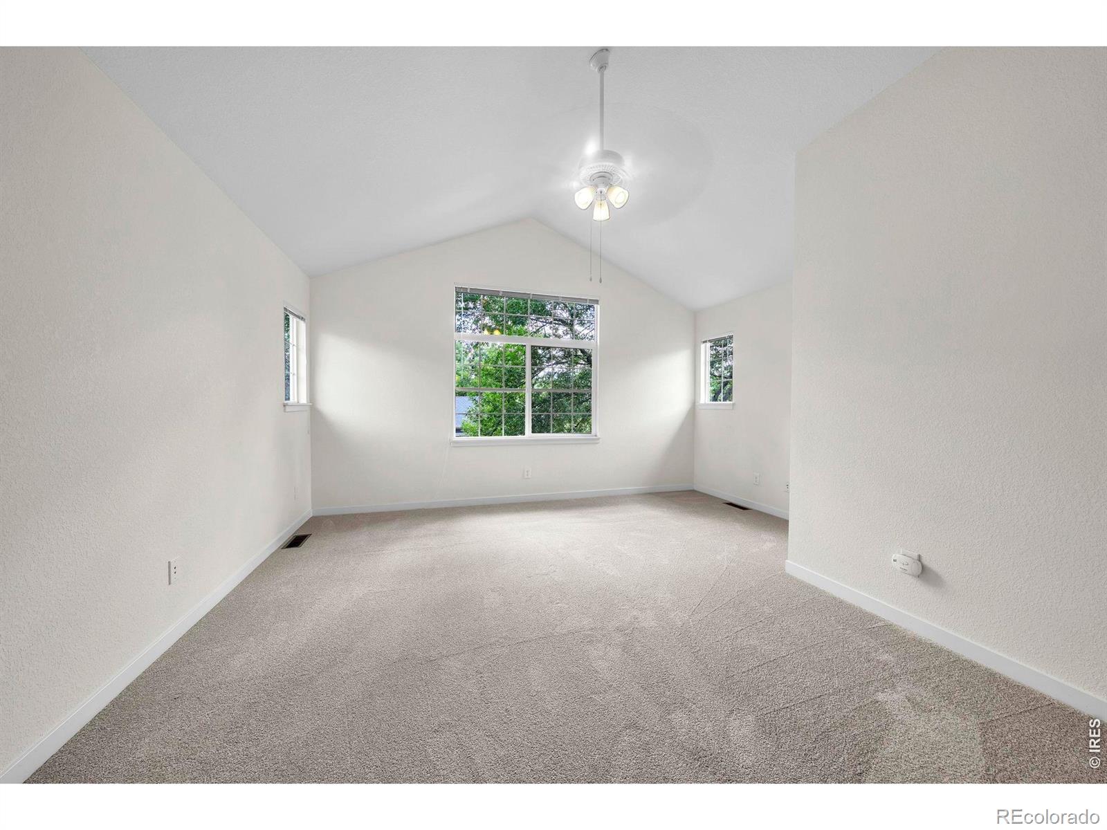 MLS Image #26 for 811  snowberry street,longmont, Colorado