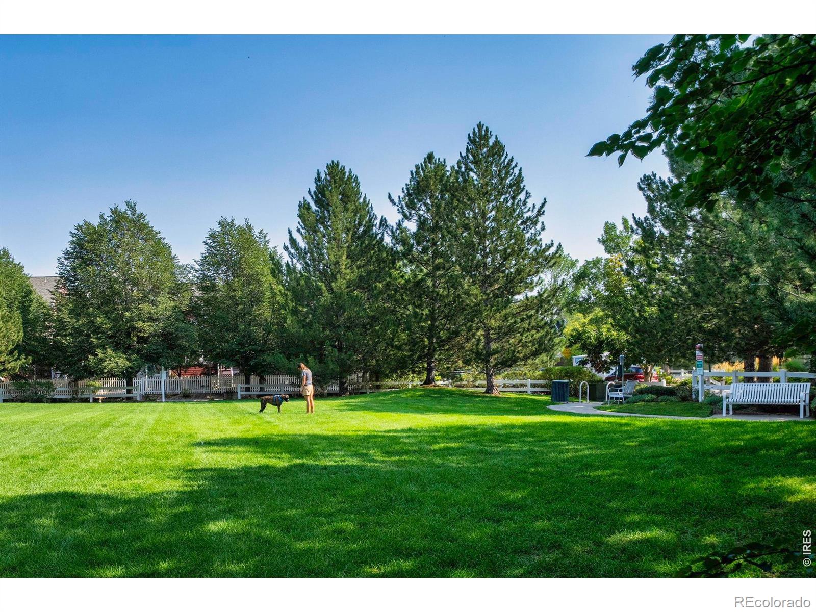 MLS Image #41 for 811  snowberry street,longmont, Colorado