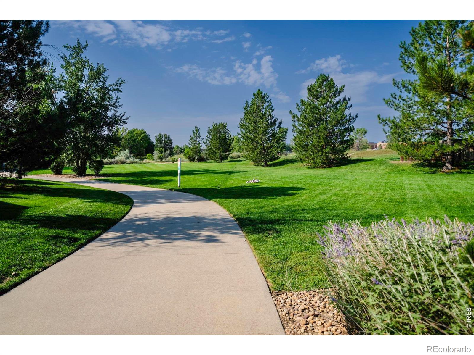 MLS Image #42 for 811  snowberry street,longmont, Colorado