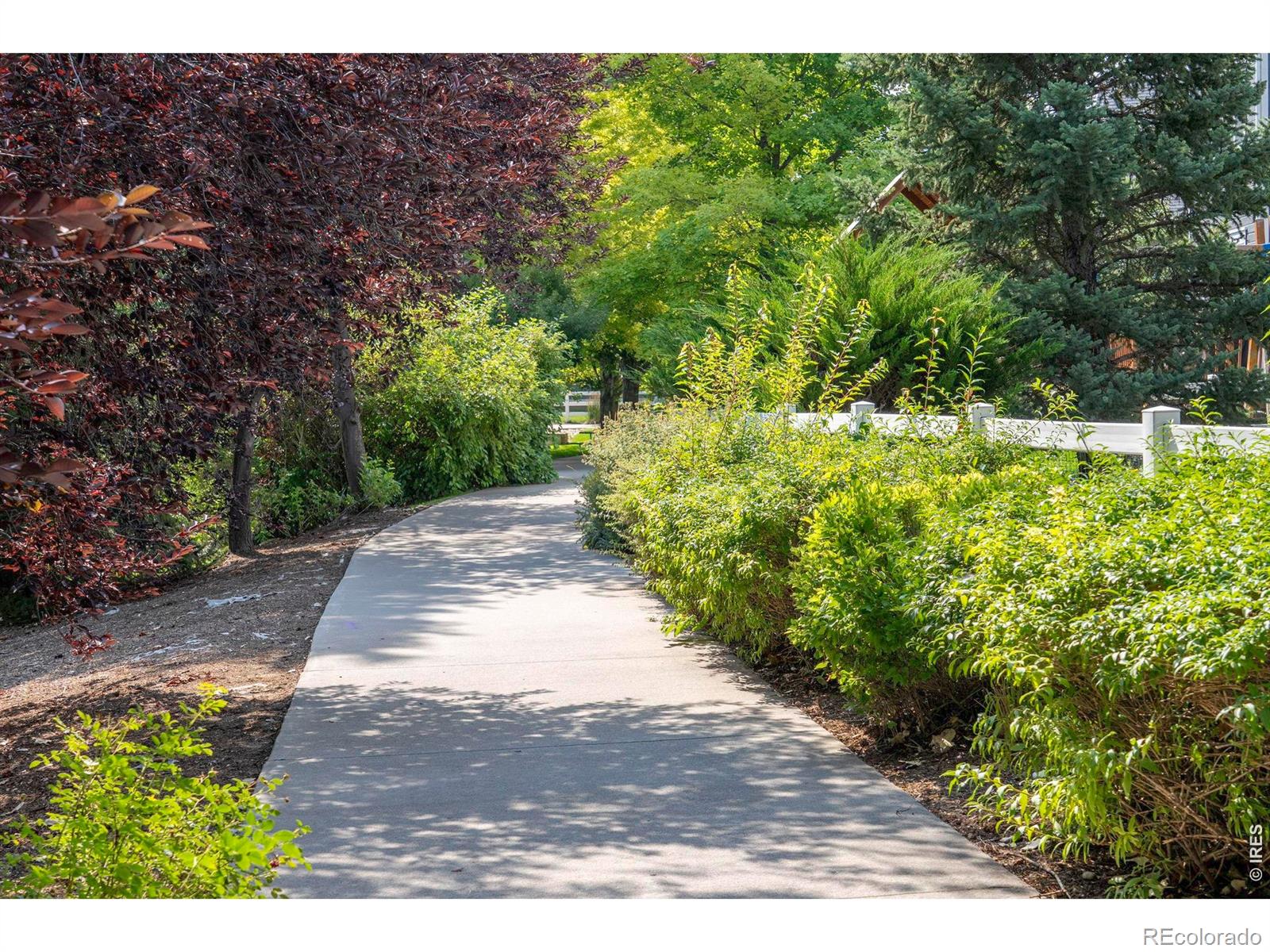 MLS Image #44 for 811  snowberry street,longmont, Colorado