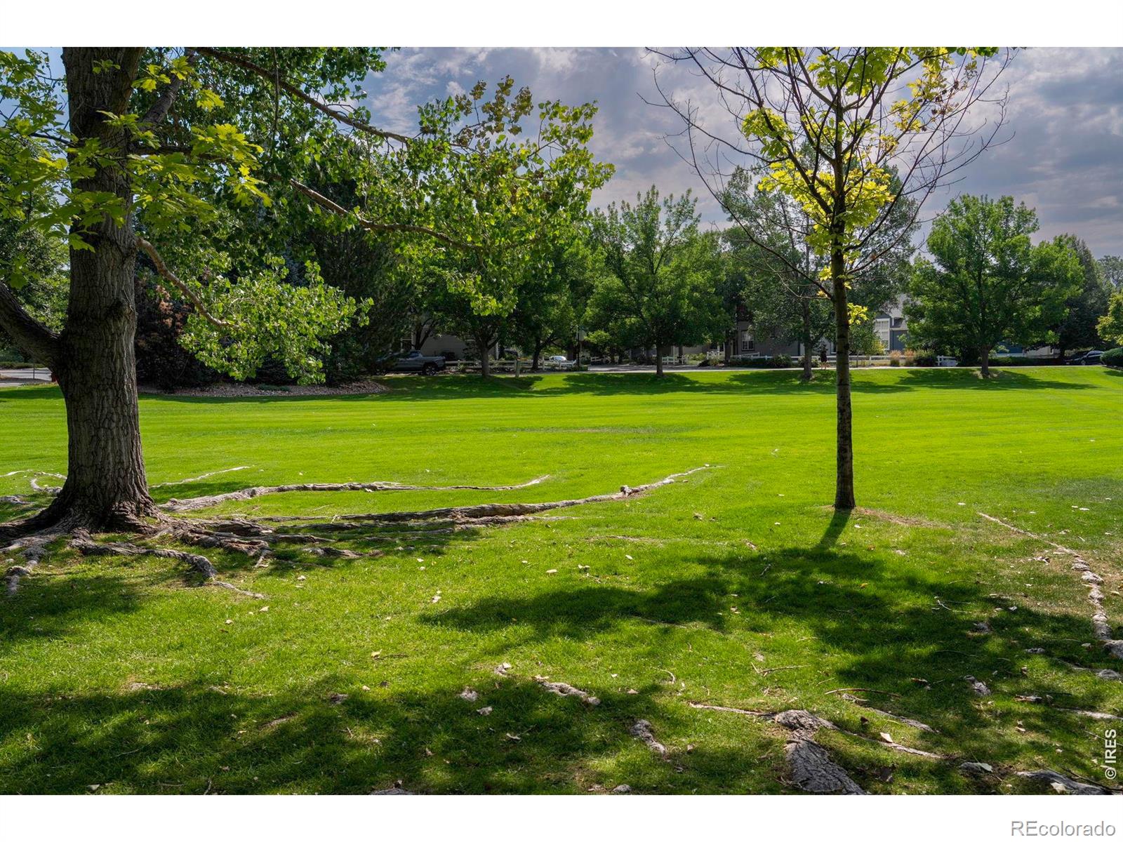 MLS Image #45 for 811  snowberry street,longmont, Colorado