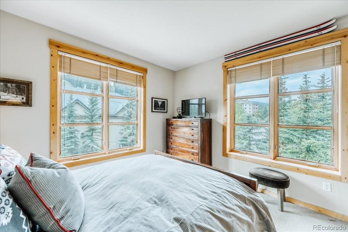 MLS Image #10 for 164  copper circle,copper mountain, Colorado