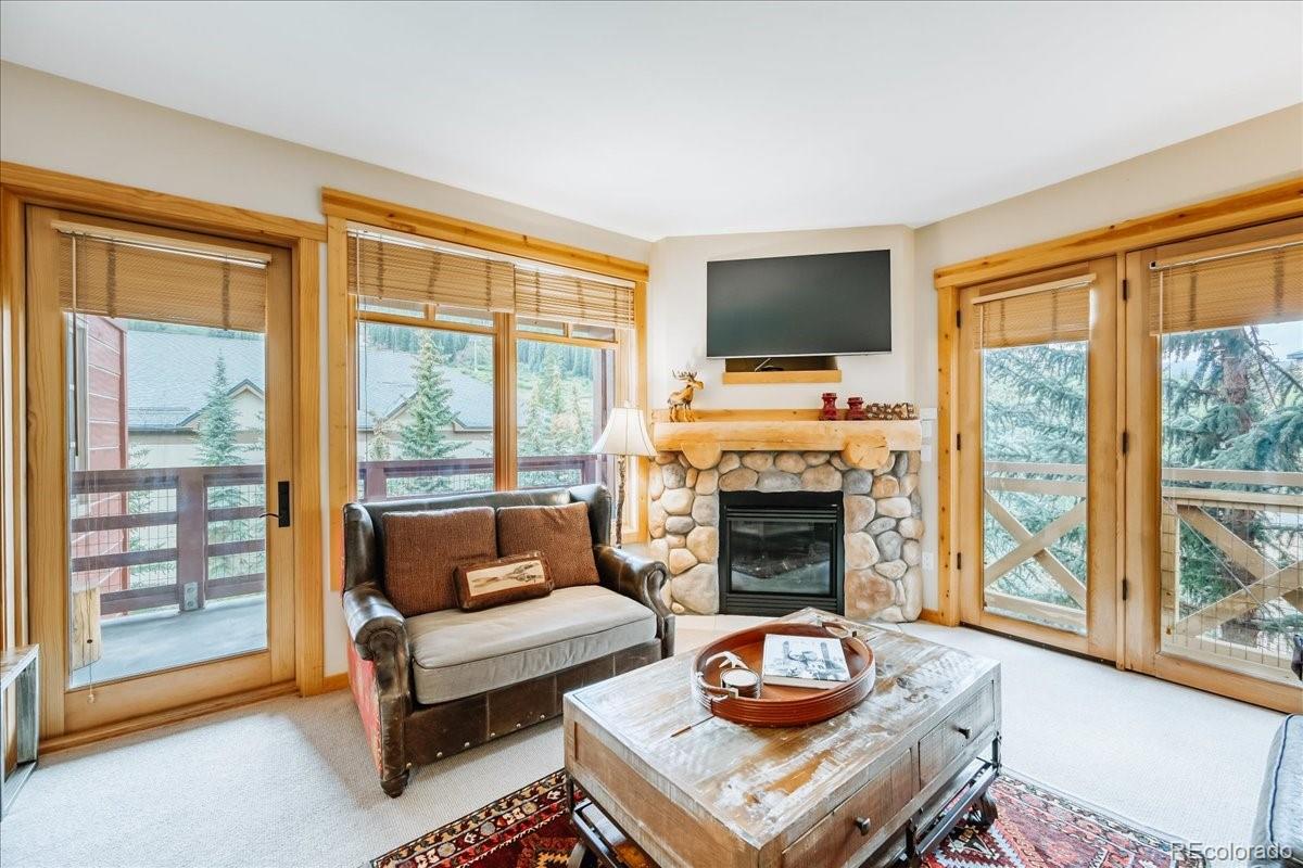 MLS Image #3 for 164  copper circle,copper mountain, Colorado
