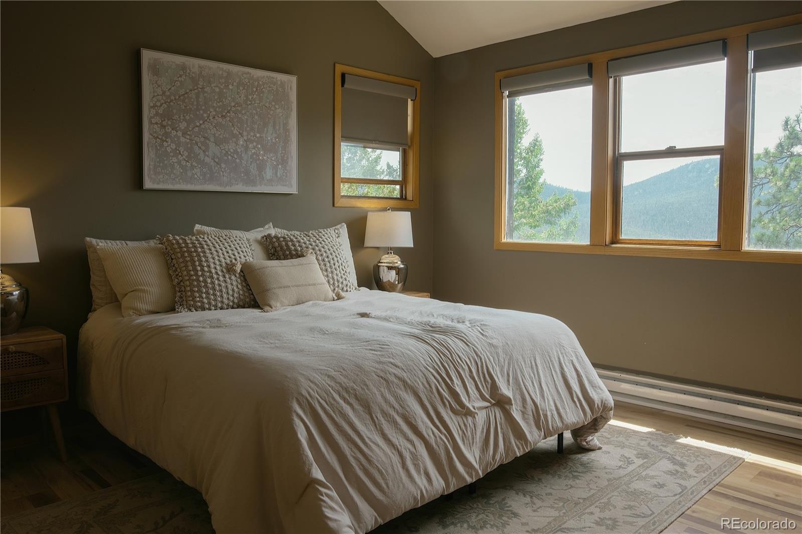 MLS Image #6 for 7340  timber trail road,evergreen, Colorado
