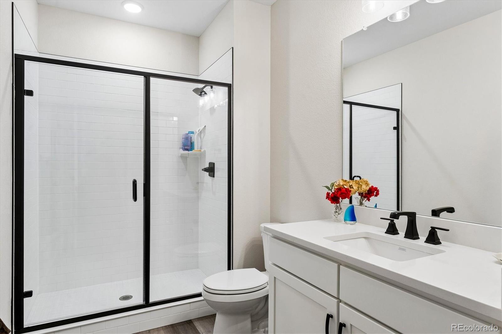 MLS Image #37 for 1285  melting snow way,castle rock, Colorado