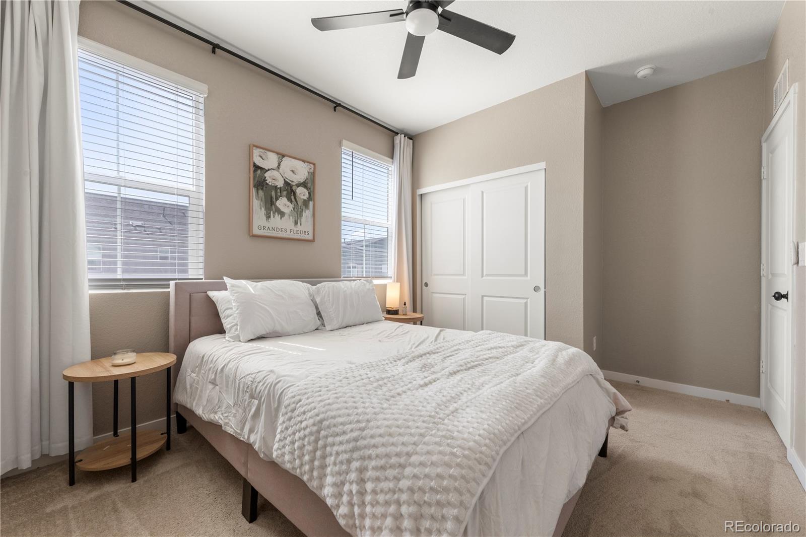 MLS Image #16 for 9152  gladiola way,arvada, Colorado