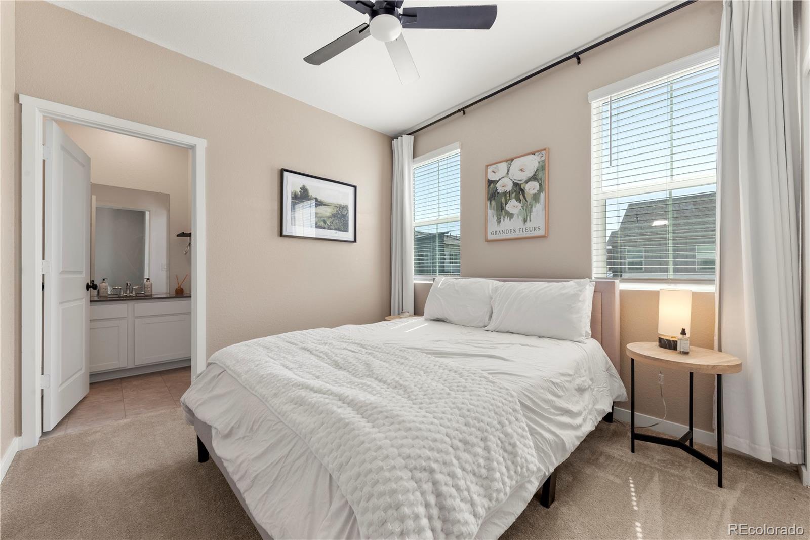 MLS Image #17 for 9152  gladiola way,arvada, Colorado
