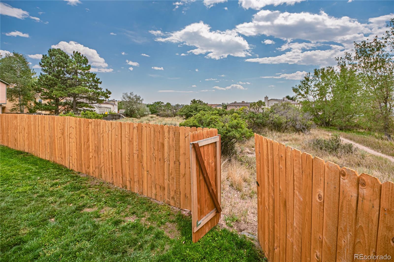 MLS Image #10 for 2455  sweet water court,colorado springs, Colorado