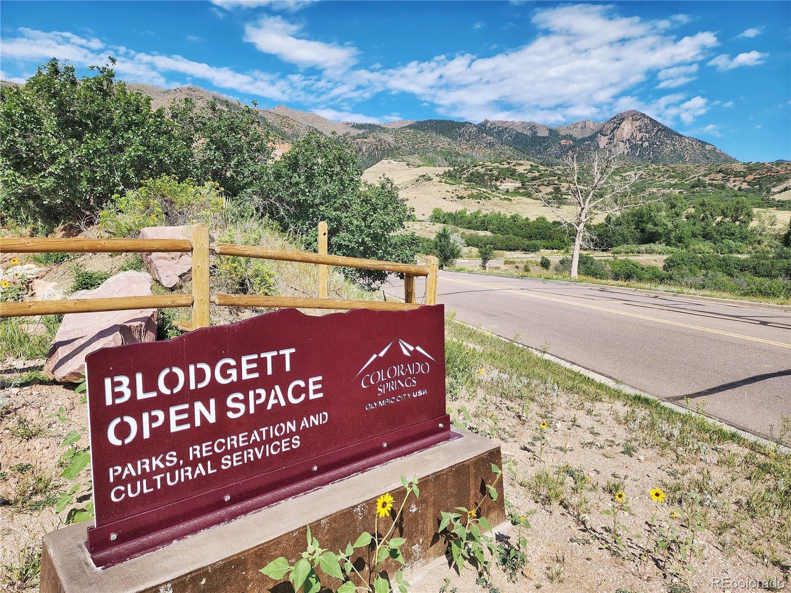 MLS Image #20 for 2455  sweet water court,colorado springs, Colorado
