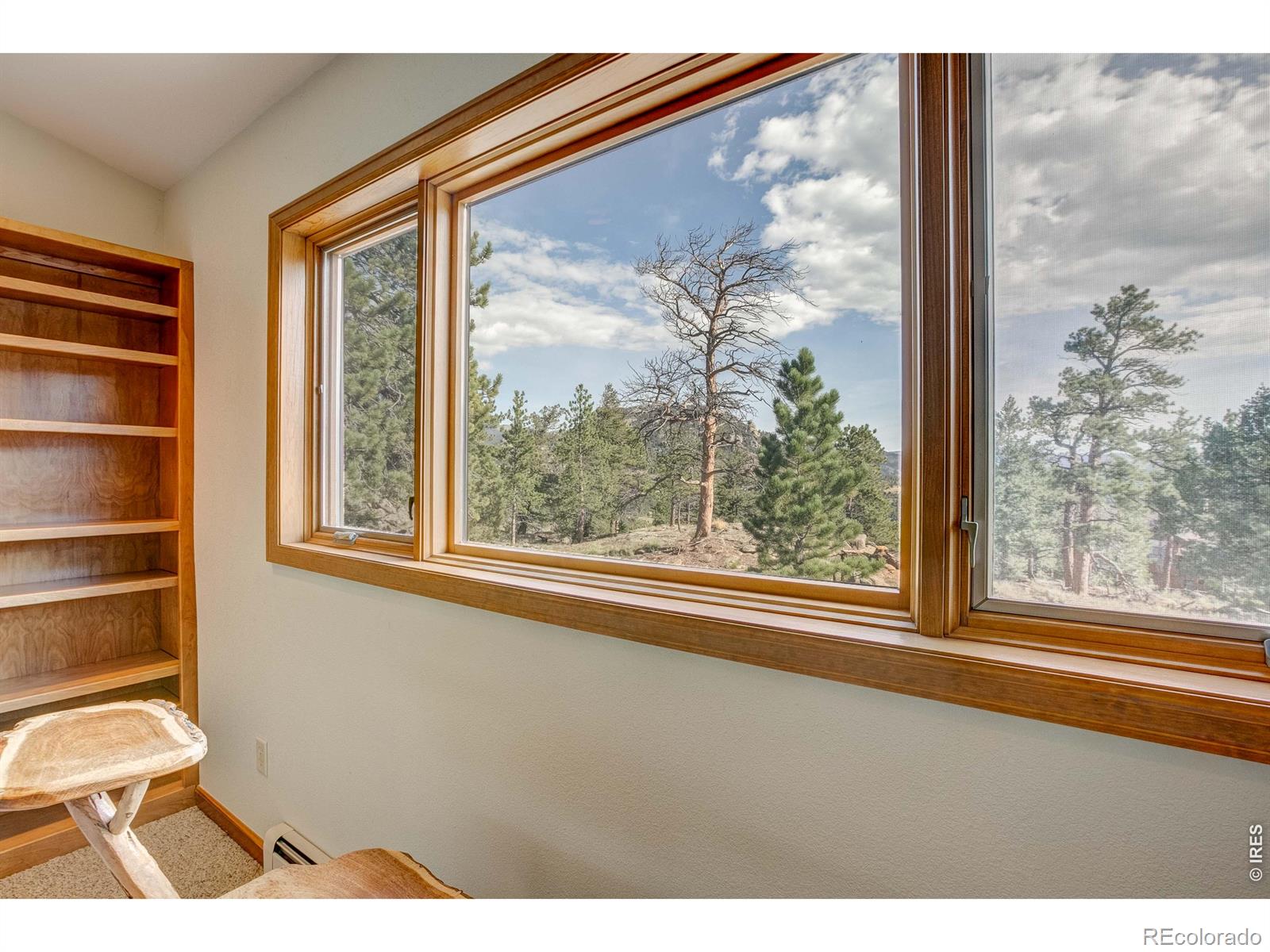 MLS Image #29 for 2720  sunset lane,estes park, Colorado