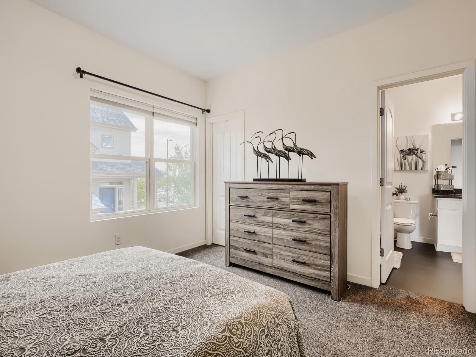 MLS Image #12 for 19198 e 55th avenue,denver, Colorado