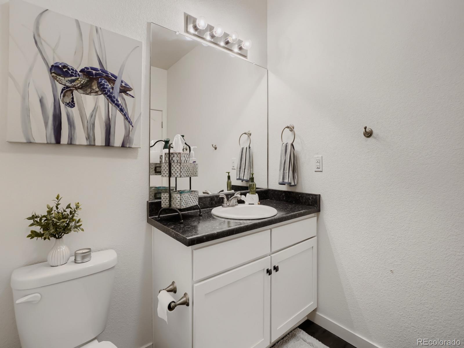 MLS Image #13 for 19198 e 55th avenue,denver, Colorado