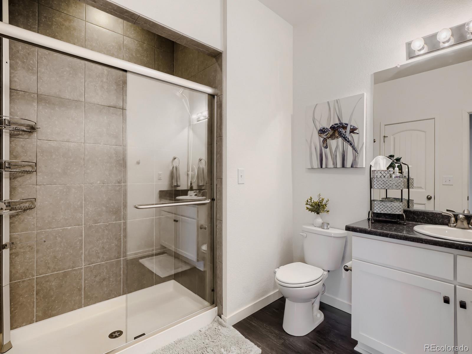 MLS Image #14 for 19198 e 55th avenue,denver, Colorado