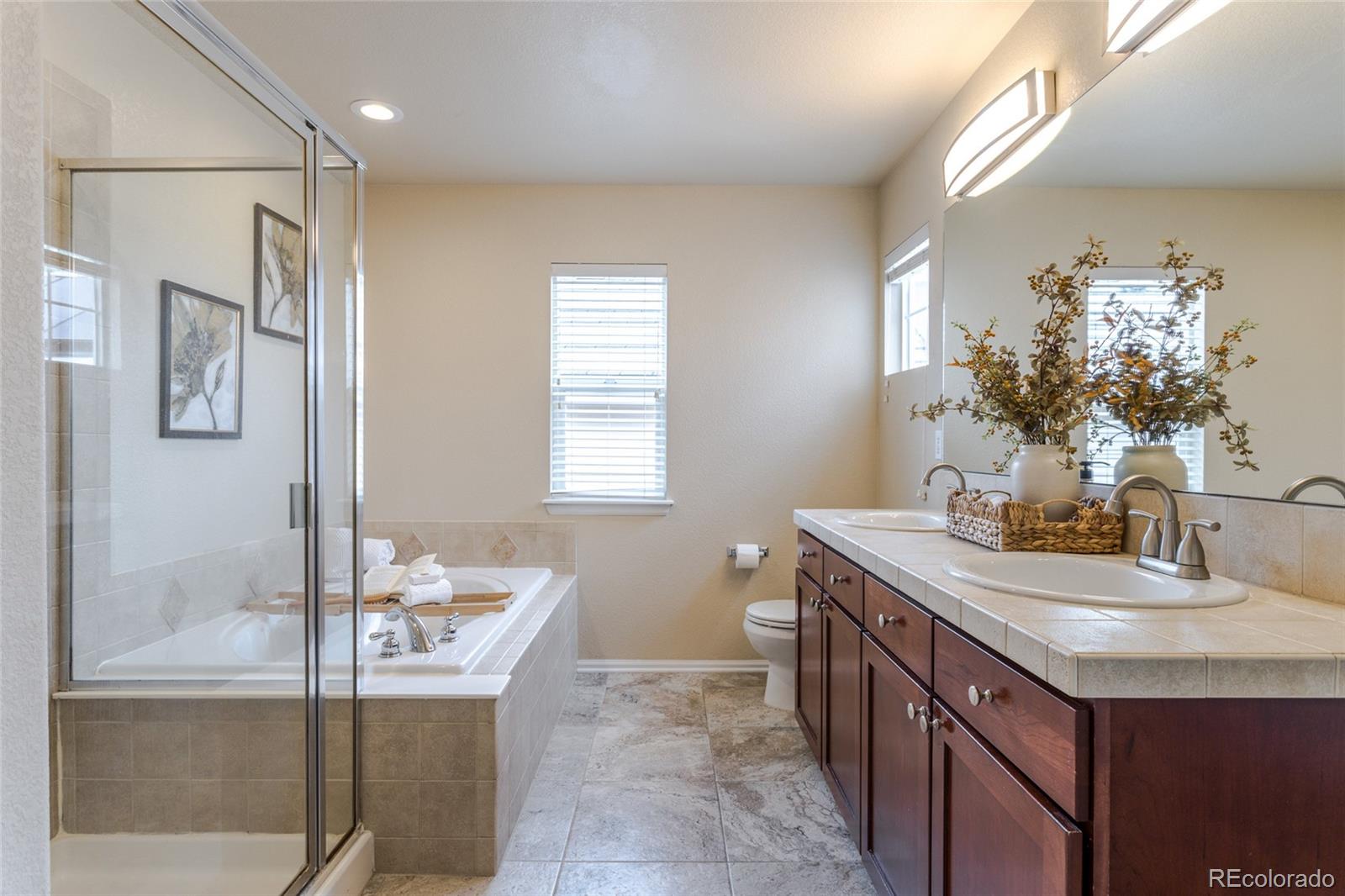MLS Image #14 for 11055  chesmore street,littleton, Colorado