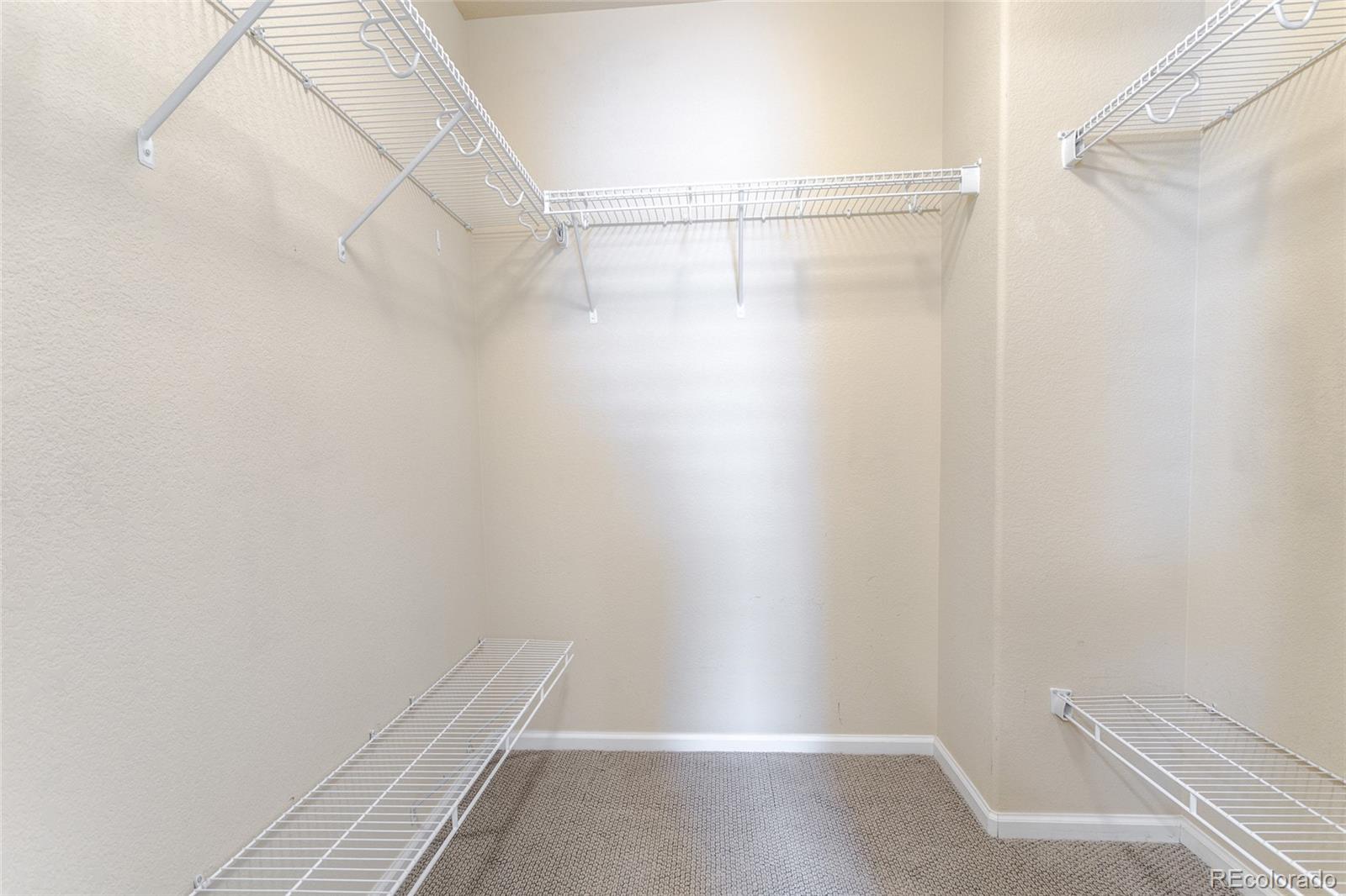 MLS Image #16 for 11055  chesmore street,littleton, Colorado