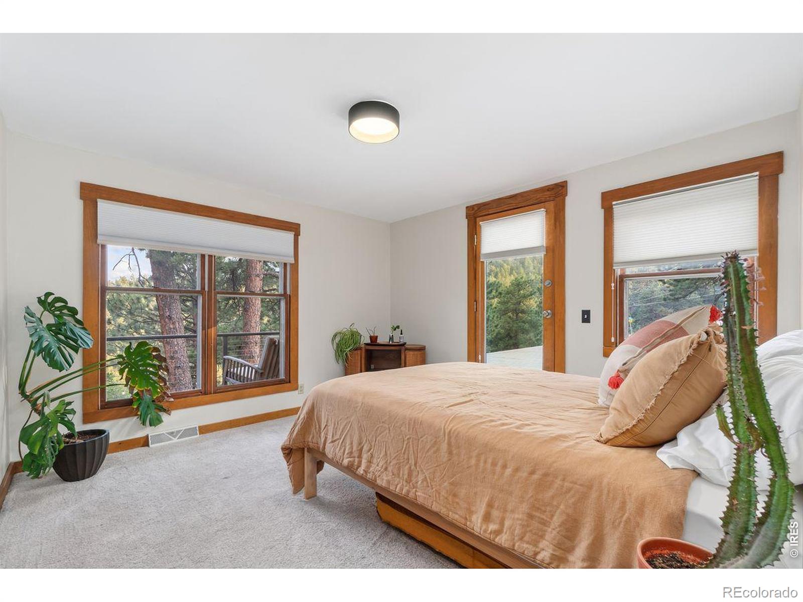 MLS Image #9 for 39  spring lane,boulder, Colorado