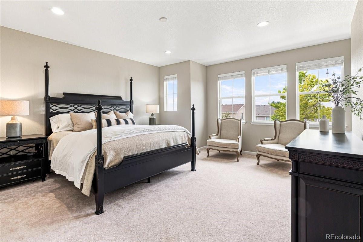 MLS Image #13 for 10537  oncilla lane,lone tree, Colorado