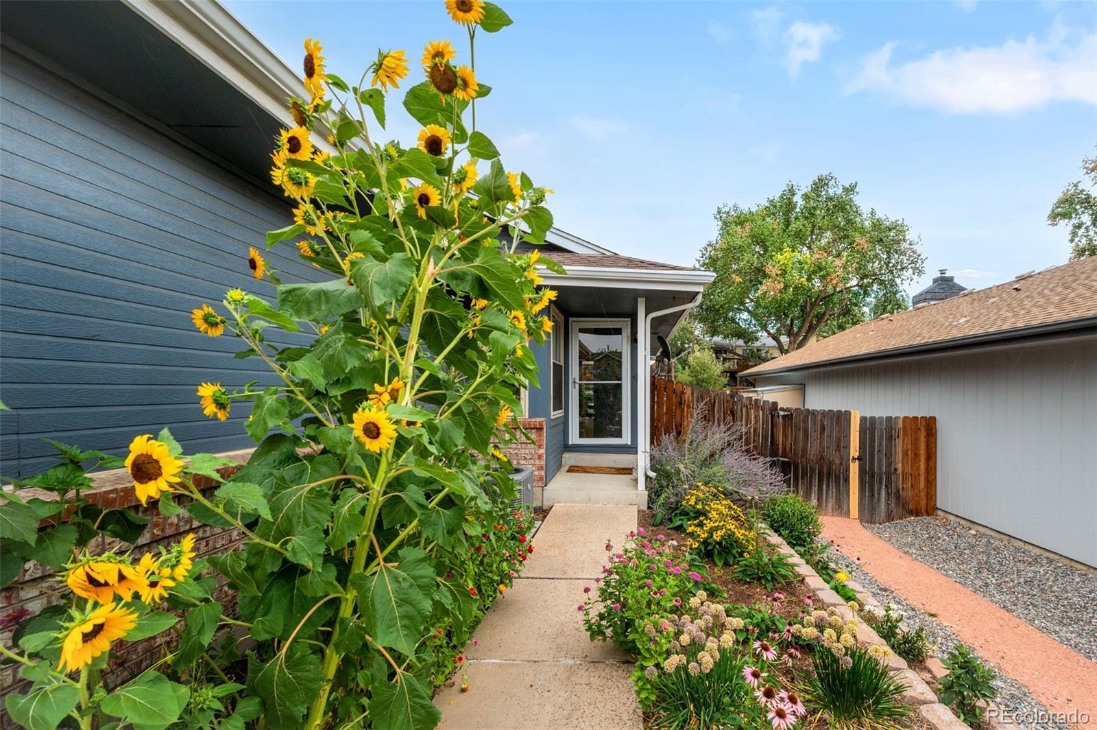 MLS Image #3 for 7150  routt street,arvada, Colorado