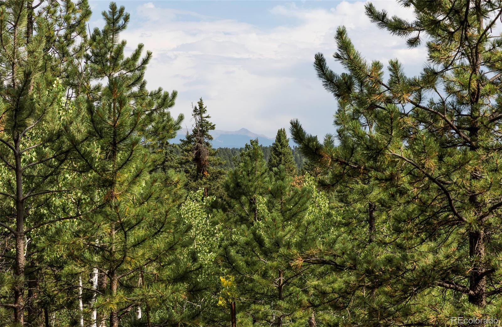 MLS Image #10 for 2644  pathfinder road,florissant, Colorado