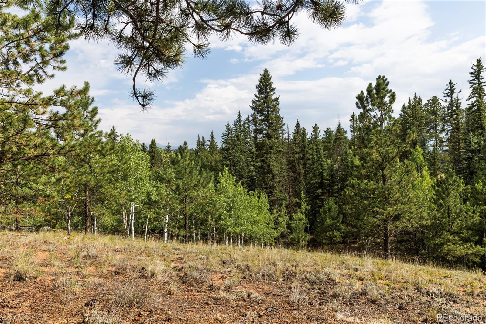 MLS Image #11 for 2644  pathfinder road,florissant, Colorado