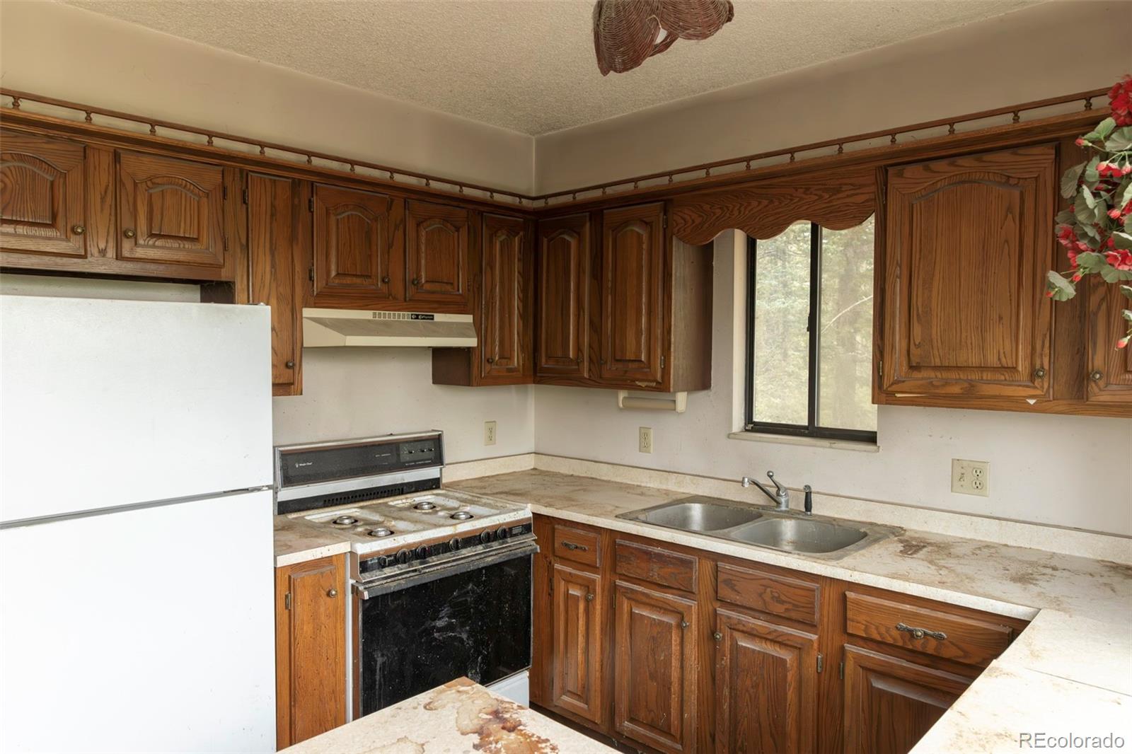 MLS Image #3 for 2644  pathfinder road,florissant, Colorado