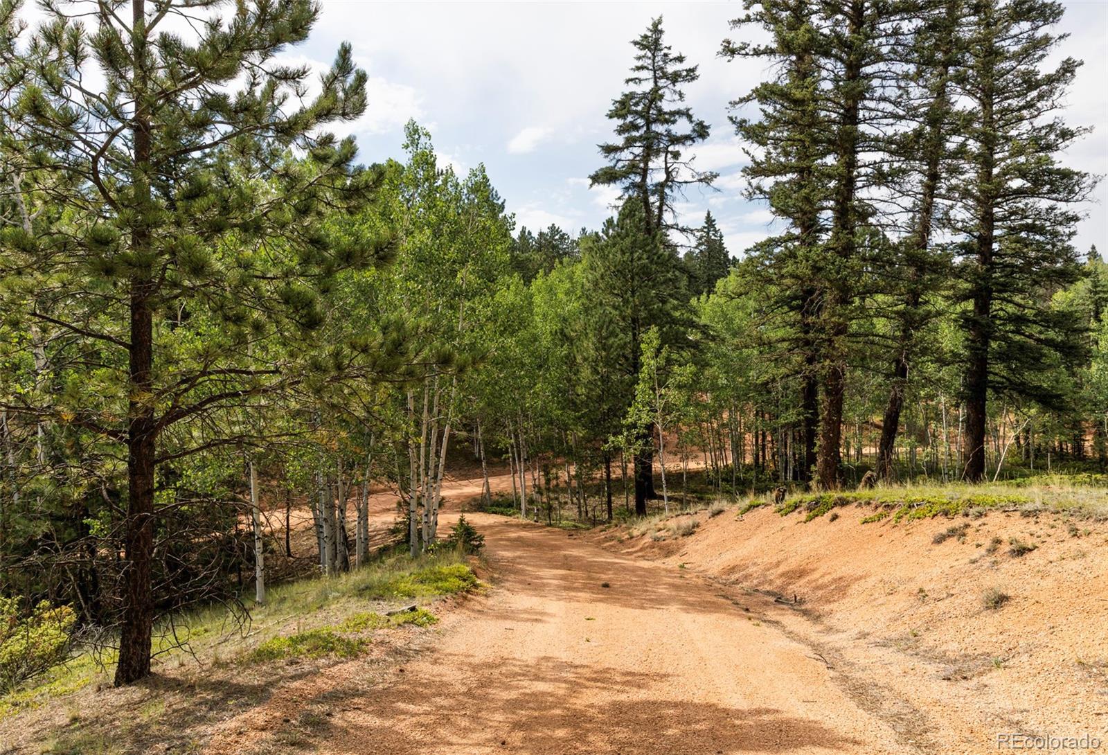 MLS Image #7 for 2644  pathfinder road,florissant, Colorado
