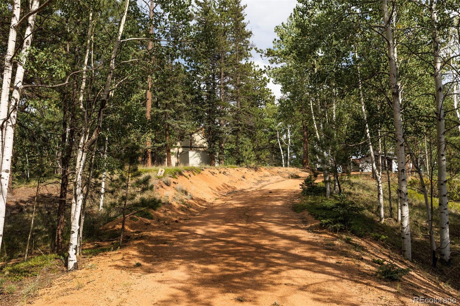 MLS Image #8 for 2644  pathfinder road,florissant, Colorado