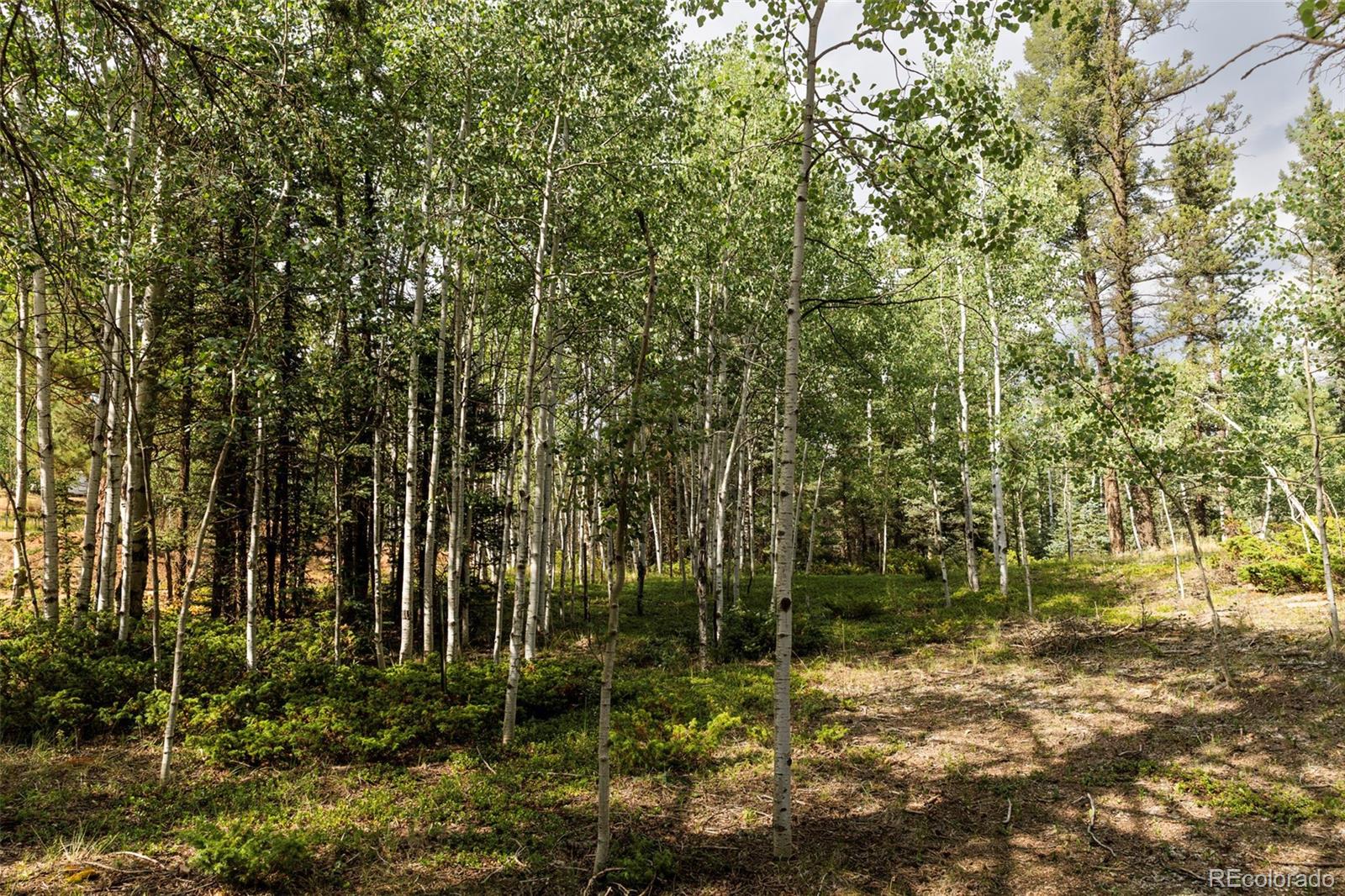 MLS Image #9 for 2644  pathfinder road,florissant, Colorado