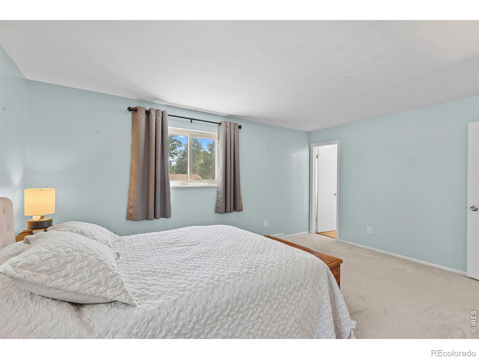 MLS Image #17 for 2965 s teller street,denver, Colorado