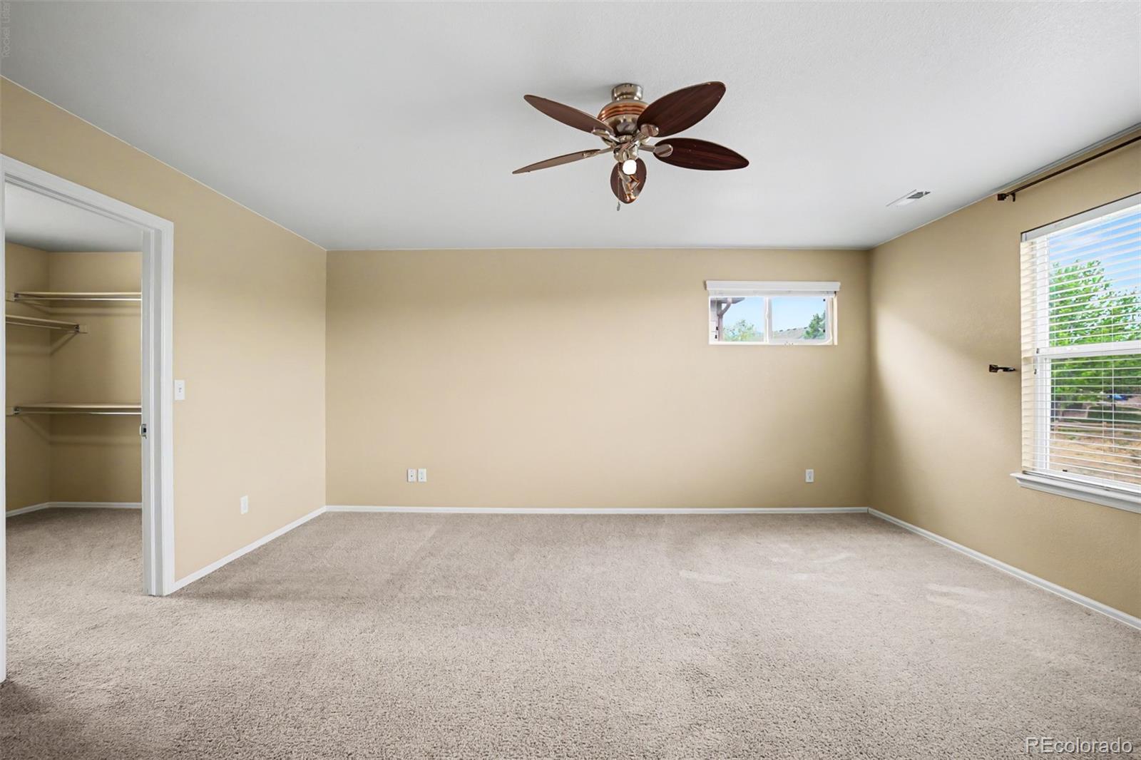MLS Image #18 for 3603  amber sun circle,castle rock, Colorado