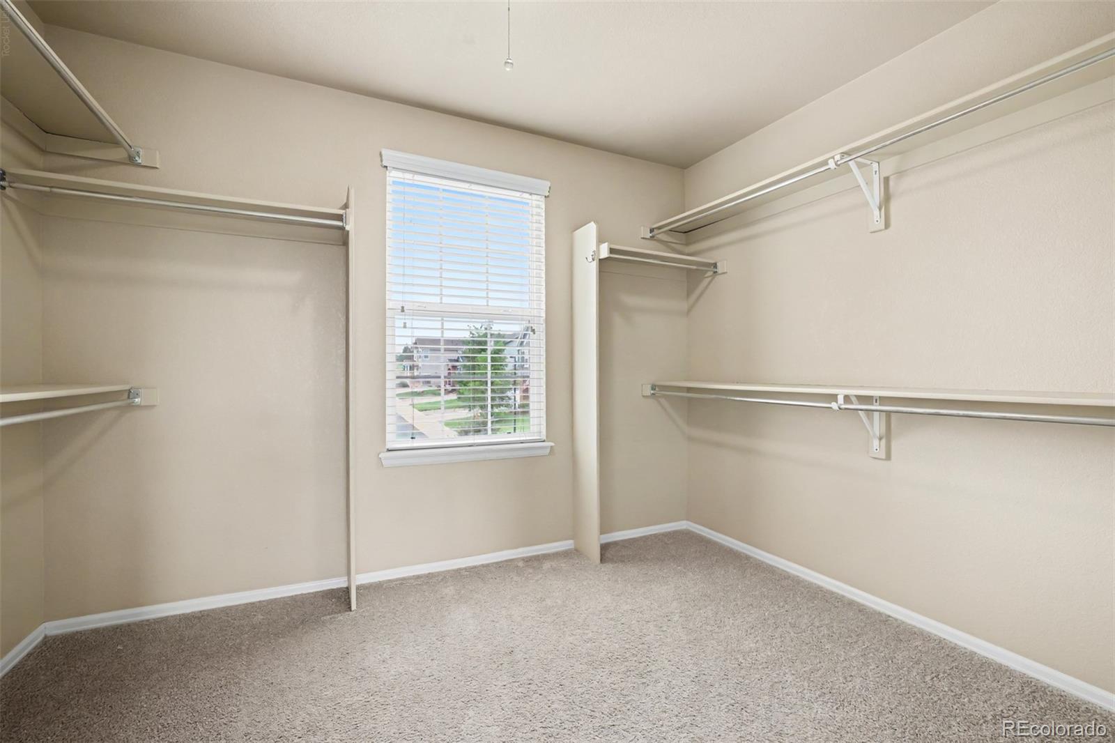 MLS Image #24 for 3603  amber sun circle,castle rock, Colorado