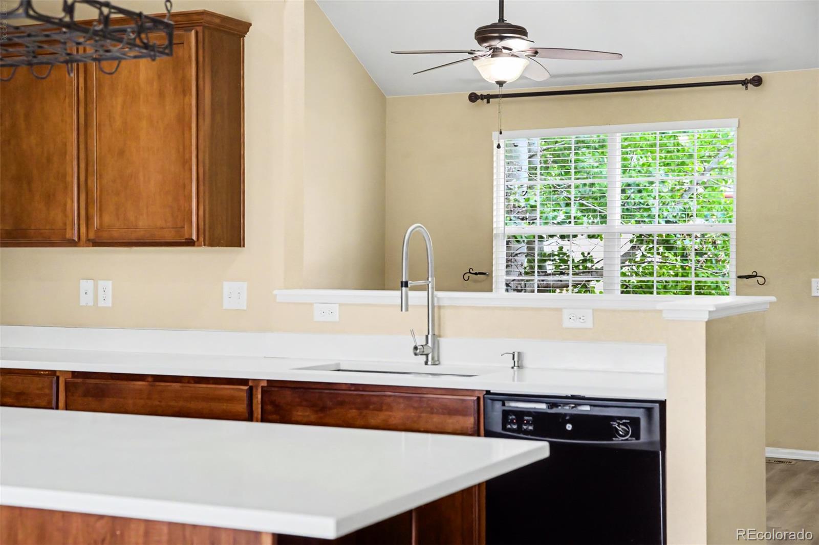 MLS Image #9 for 3603  amber sun circle,castle rock, Colorado