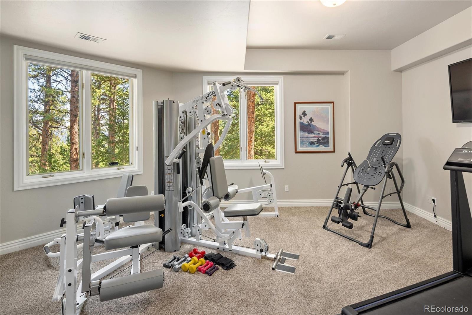MLS Image #30 for 31354  morning star drive,evergreen, Colorado