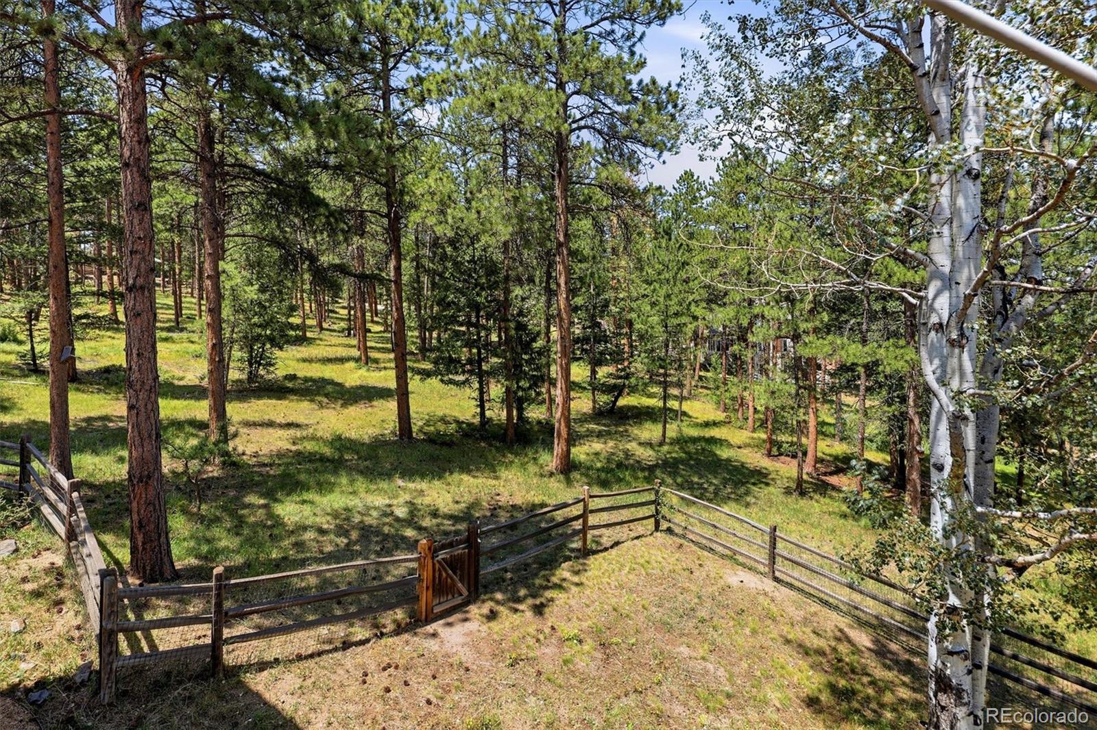 MLS Image #32 for 31354  morning star drive,evergreen, Colorado