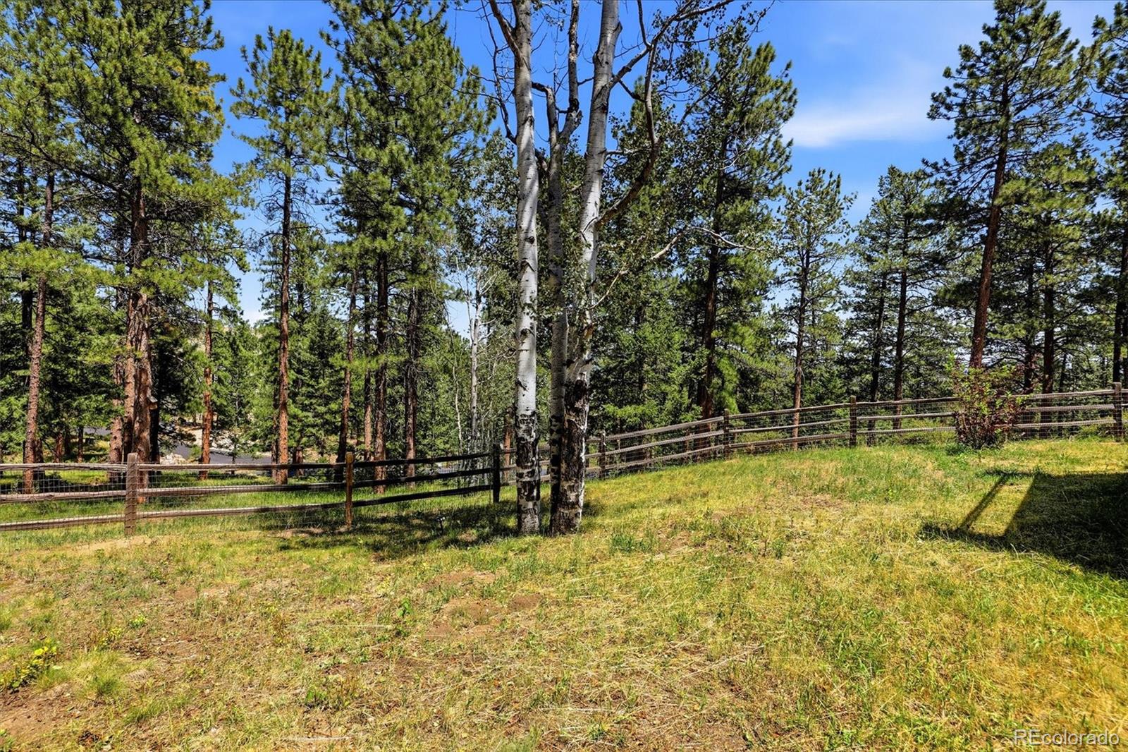 MLS Image #33 for 31354  morning star drive,evergreen, Colorado