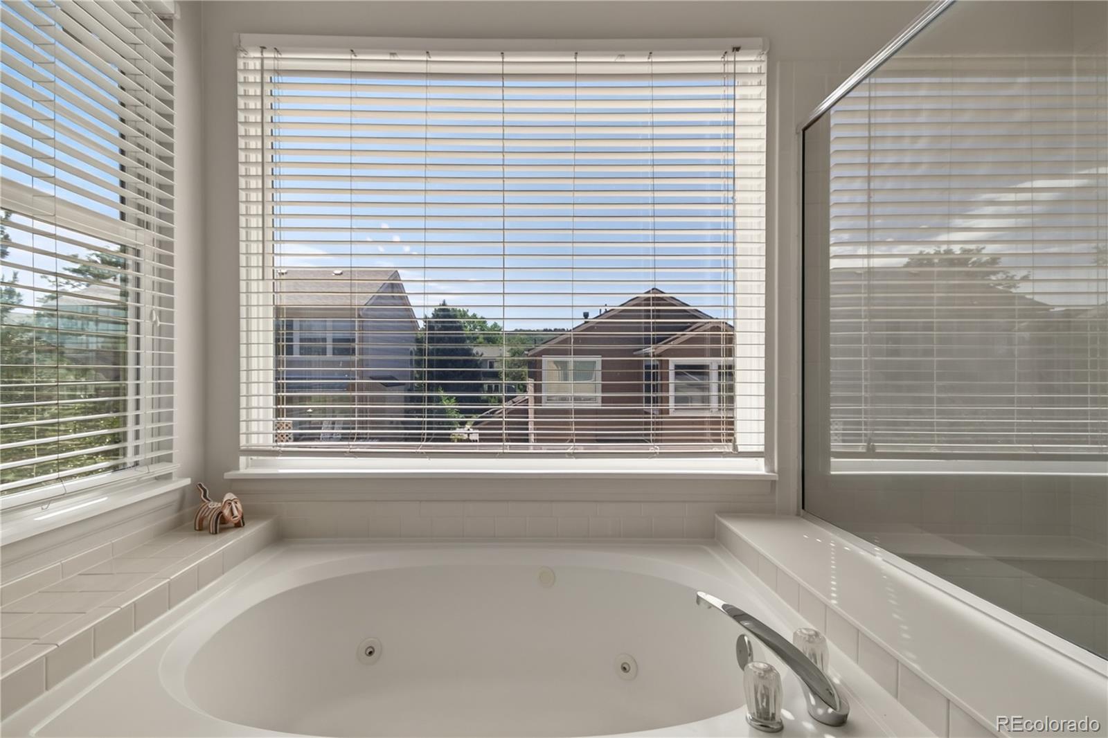 MLS Image #32 for 2024  sandhurst drive,castle rock, Colorado