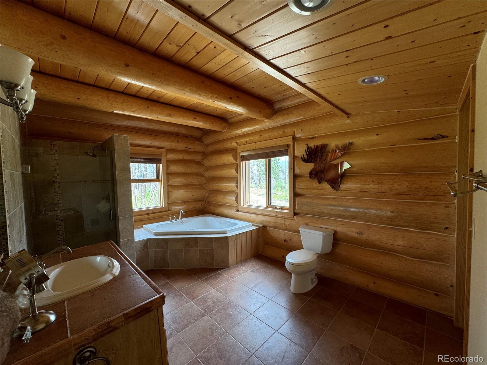 MLS Image #6 for 2255/2256  port loop,fort garland, Colorado