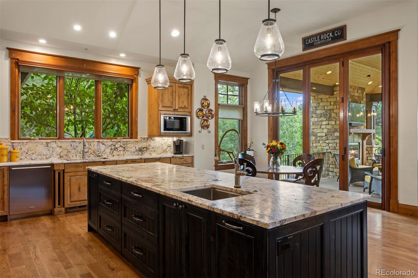 MLS Image #20 for 958  westchester circle,castle rock, Colorado