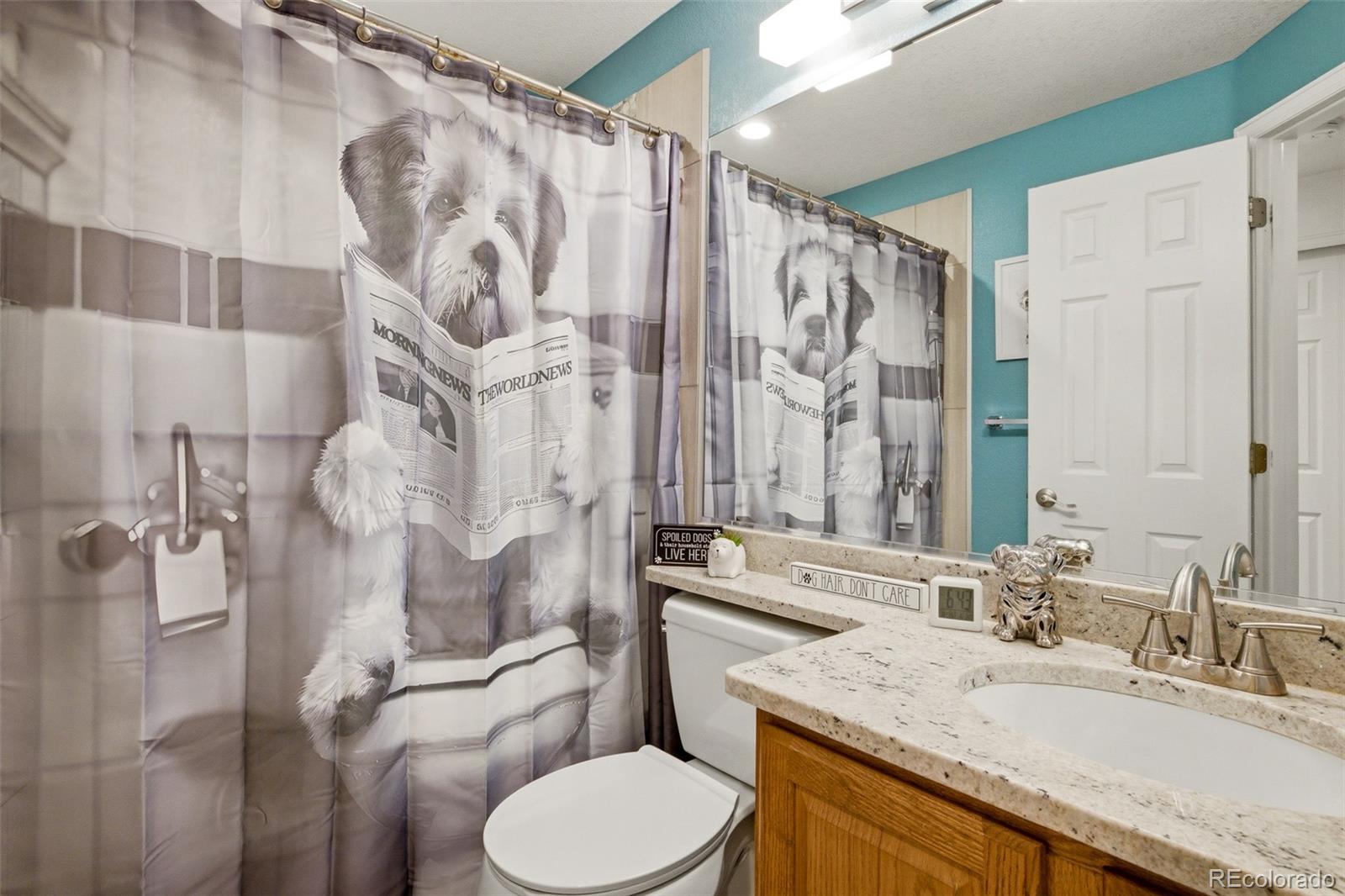 MLS Image #27 for 13887  eudora street,brighton, Colorado