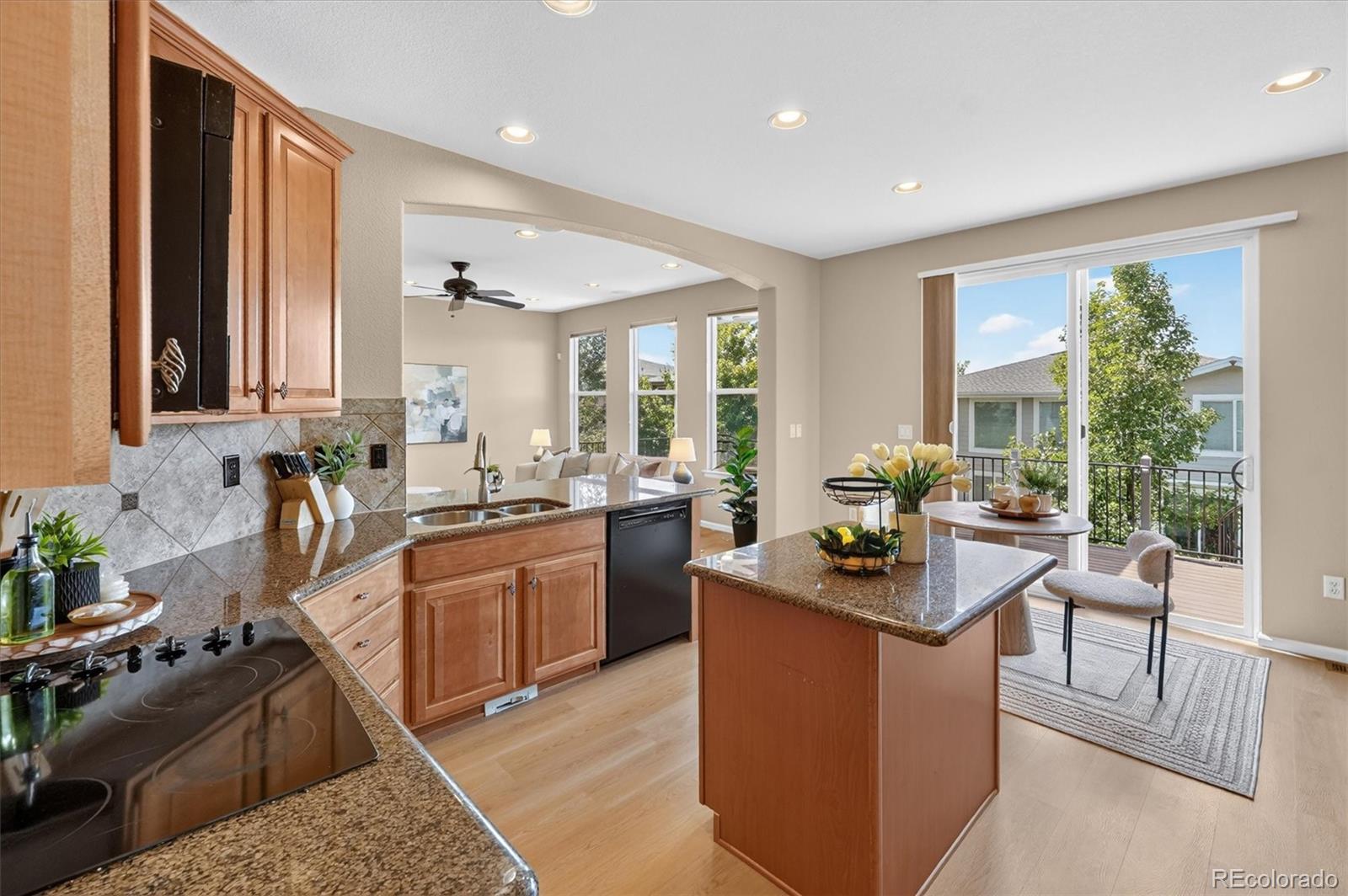 MLS Image #10 for 10524  applebrook circle,highlands ranch, Colorado