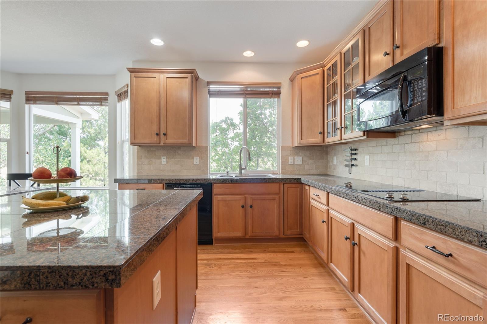 MLS Image #12 for 1235  baguette drive,castle rock, Colorado