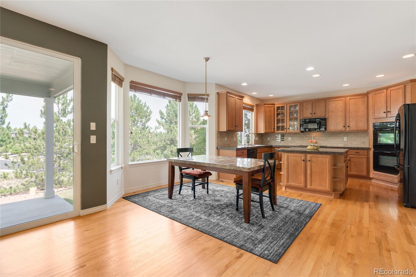 MLS Image #14 for 1235  baguette drive,castle rock, Colorado