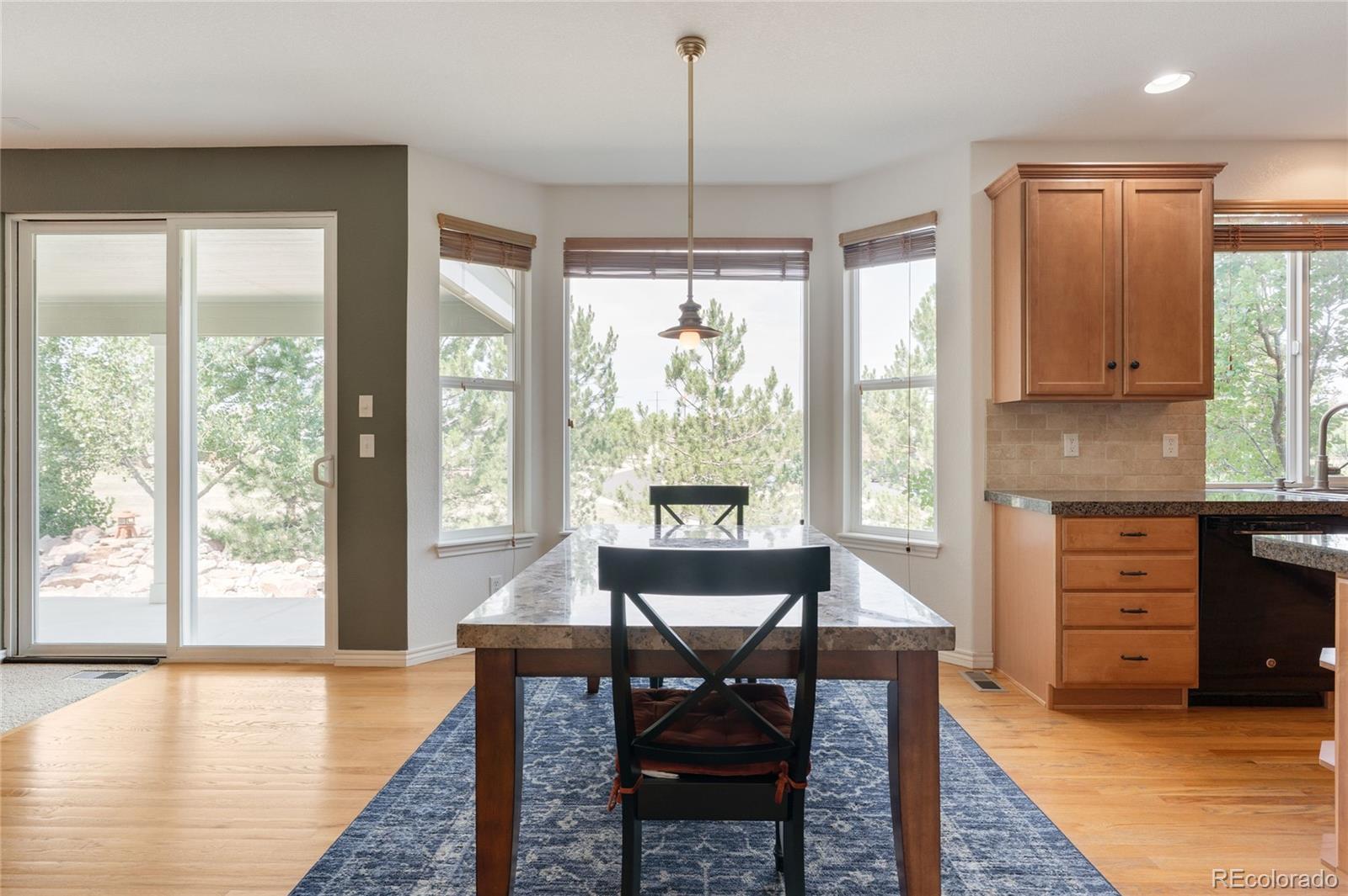 MLS Image #15 for 1235  baguette drive,castle rock, Colorado