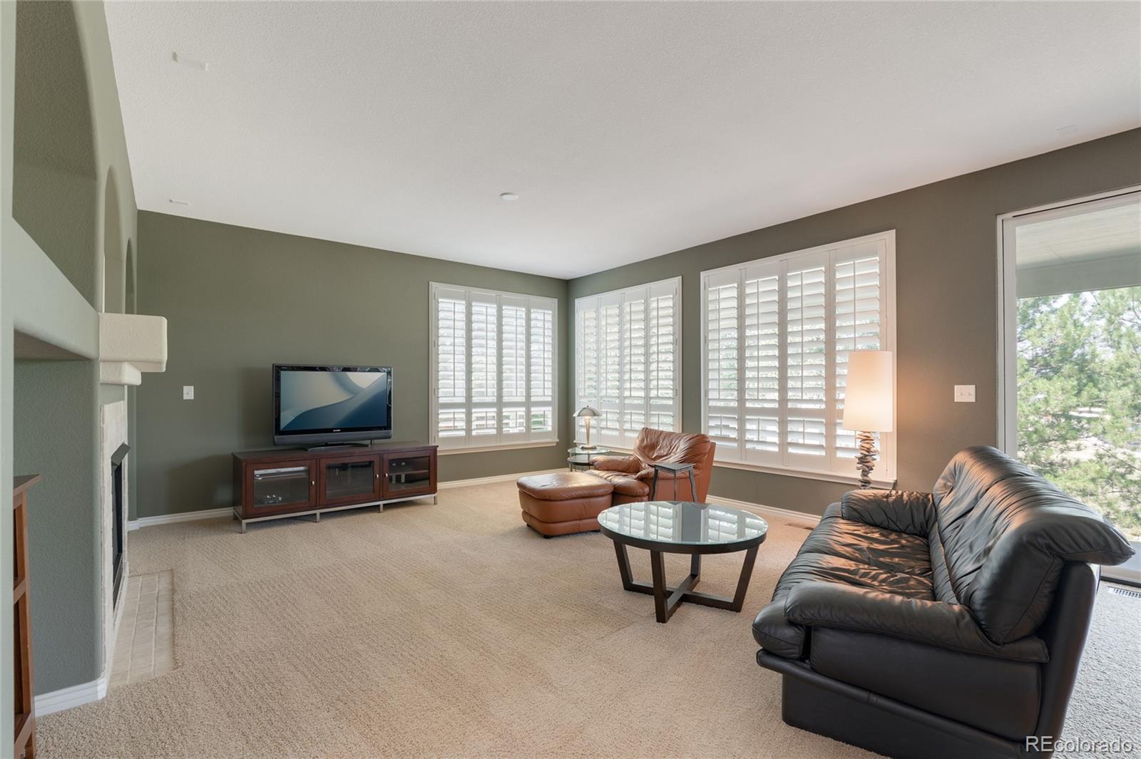 MLS Image #18 for 1235  baguette drive,castle rock, Colorado