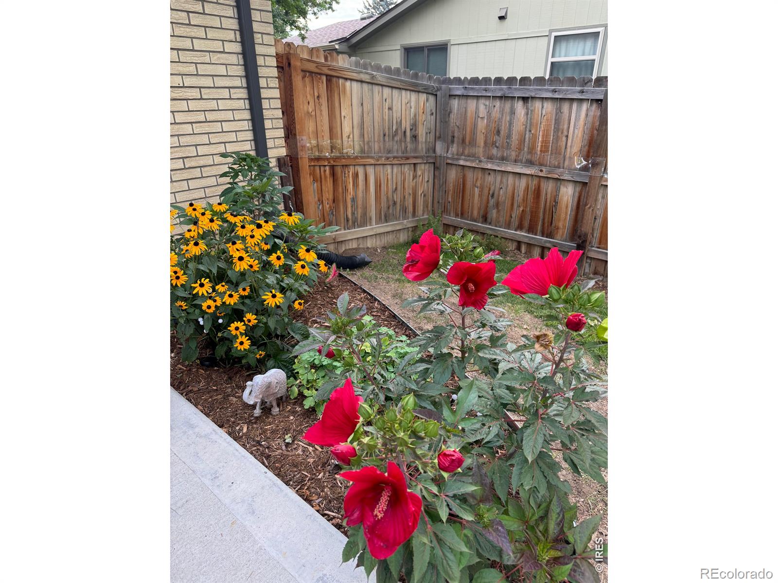 MLS Image #48 for 2112  abeyta court,loveland, Colorado
