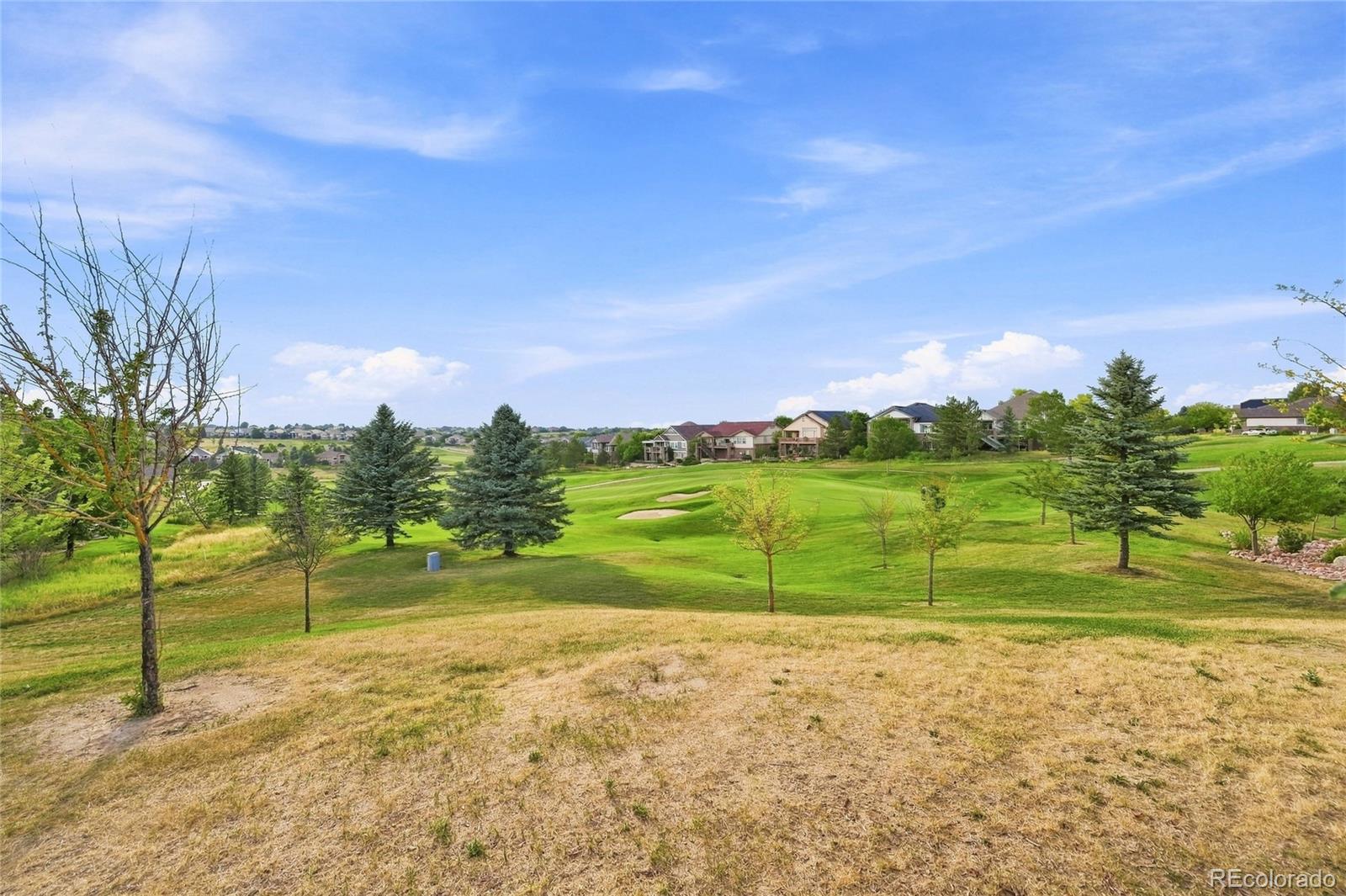 MLS Image #41 for 7996 s shawnee street,aurora, Colorado