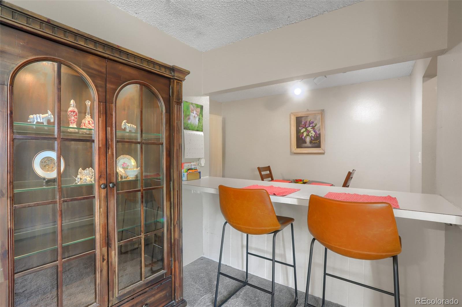 MLS Image #10 for 4645 s lowell boulevard,denver, Colorado